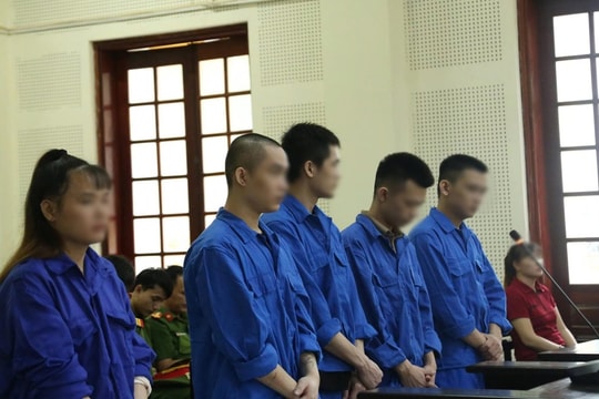 Từ tình yêu ảo đến mất trắng tài sản