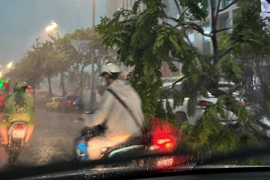 Các cấp độ gió bão có tác động thế nào đến đời sống cộng đồng?