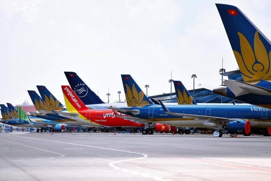 Nhiều chuyến bay bị hủy do bão Wipha