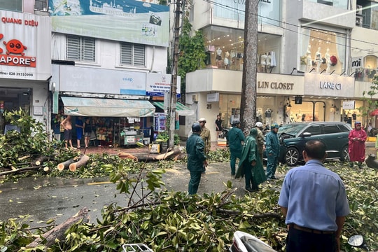 TP.HCM chỉ đạo khẩn liên quan đến bão số 3