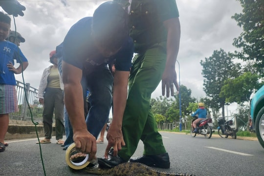 Thêm thông tin về con cá sấu ở kênh Nước Đen TP.HCM