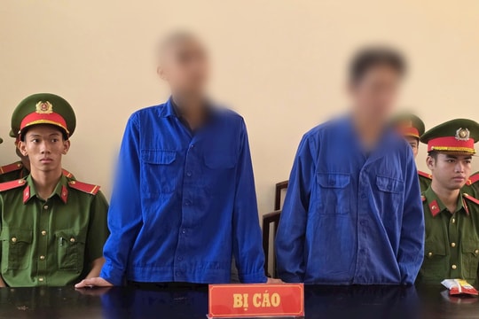 Hai cha con lãnh án tù vì giết người