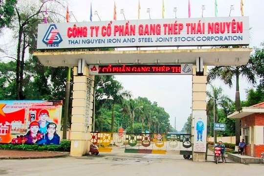 Gang thép Thái Nguyên bị xử phạt và truy thu hơn 225 tỷ đồng