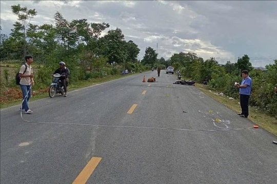 Người đi xe máy tử vong vì tông vào con bò thả rông