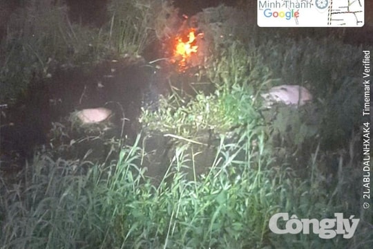 Gia Lai: Phát hiện nhiều xác lợn chết, trôi nổi ở bờ kè suối Hội Phú