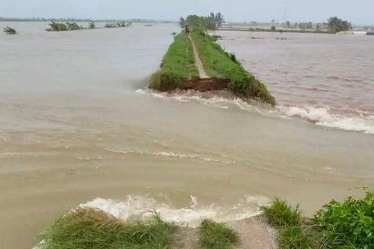 Hải Phòng: Dỡ bỏ cấm biển, khẩn trương khắc phục hậu quả sau bão