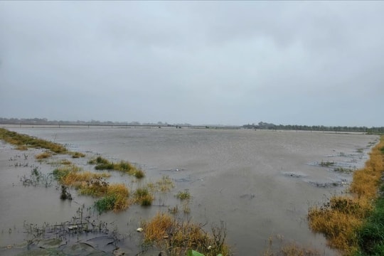 Ninh Bình: Thiệt hại ban đầu do bão số 3 gây ra