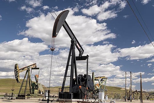 Giá xăng dầu ngày hôm nay (23/7): Giảm phiên thứ hai liên tiếp