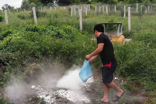 TP. Huế phát hiện ổ dịch tả lợn Châu Phi đầu tiên