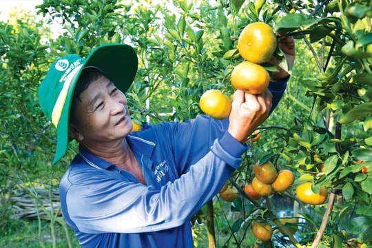 PVCFC: Vinh danh Top 5 doanh nghiệp niêm yết Việt Nam