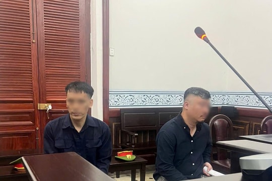 Giám đốc mang  ô tô cầm cố, bán, chiếm đoạt hơn 7 tỷ đồng