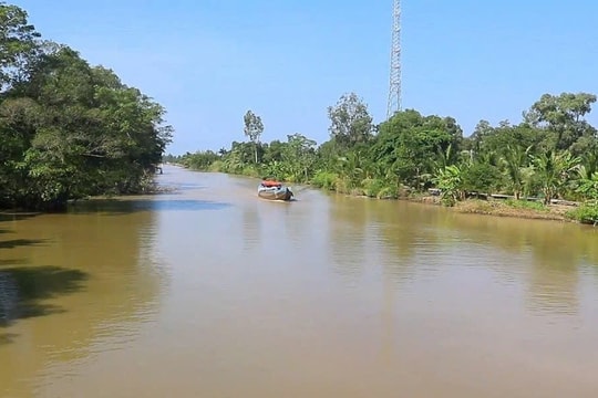 Cà Mau: Người dân phát hiện cá sấu trên sông