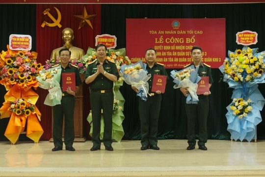 Bổ nhiệm Phó Chánh án Tòa án Quân sự Quân khu 3