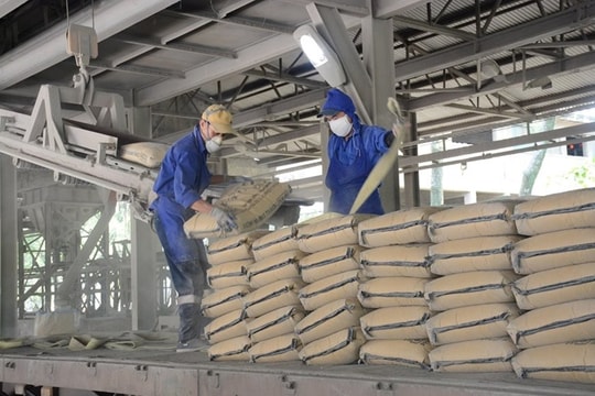 Thị trường xi măng nội địa dẫn dắt đà phục hồi
