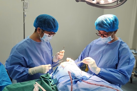 Bị đầu đạn găm trúng đầu khi đang làm vườn