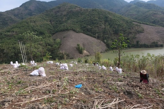 Thanh Hóa dự kiến chi hơn 15 tỷ đồng/năm hỗ trợ các cán bộ đến công tác tại xã miền núi