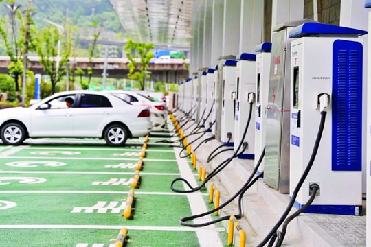 Thị trường xe xanh tại Việt Nam đang "nóng" dần