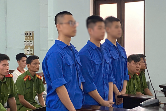 “Bay lắc” ở quán bar, 3 anh em ruột cùng nhau vào tù