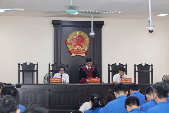 Tuyên án 44 bị cáo trong vụ án xảy ra tại Tạp chí Môi trường Đô thị Việt Nam