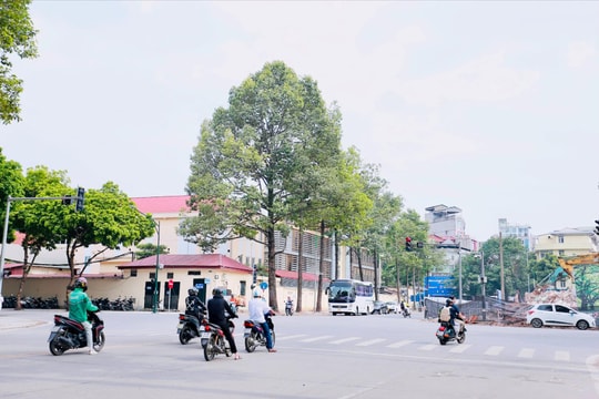 Cận cảnh phá dỡ nhà 61 Trần Phú, mở rộng đường Hùng Vương phục vụ diễu binh dịp 2/9