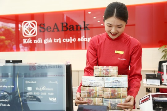 SeABank đạt lợi nhuận 5.856 tỷ đồng trong 6 tháng đầu năm 2025