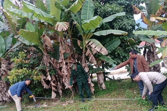 Đề xuất chuyển thẩm quyền giải quyết tranh chấp đất đai lần 2 cho cơ quan Tòa án