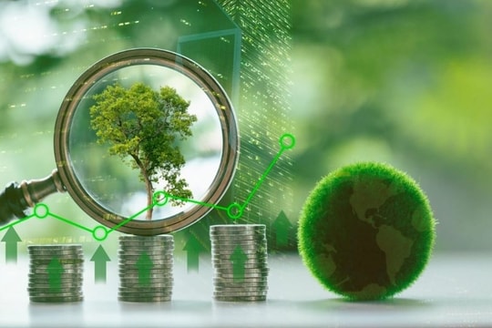 “Mở đường” cho startup xanh phát triển
