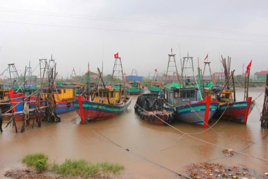 Ninh Bình quyết tâm gỡ “thẻ vàng” IUU