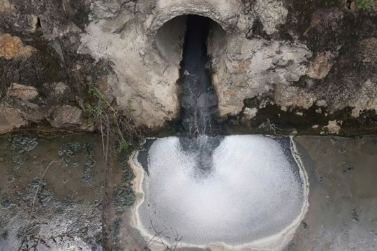 Trại lợn vi phạm về môi trường bị phạt 370 triệu đồng