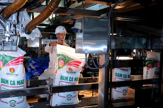 PVCFC vượt kỳ vọng với tăng trưởng mạnh mẽ trong 7 tháng đầu năm 2025