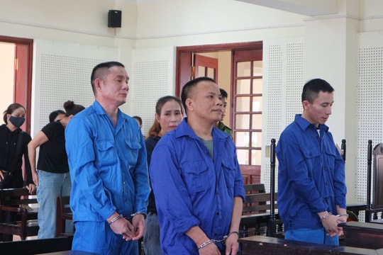 Từ món quà độc đến bản án 20 năm tù