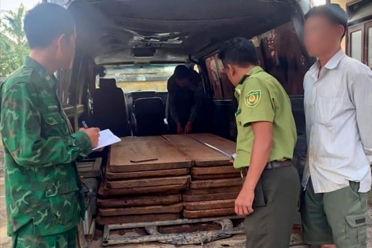 Bắt giữ vụ vận chuyển lâm sản trái phép tại xã A Lưới 3, TP Huế