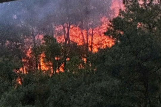 Hơn 400 người tham gia khống chế cháy rừng ở Nghệ An