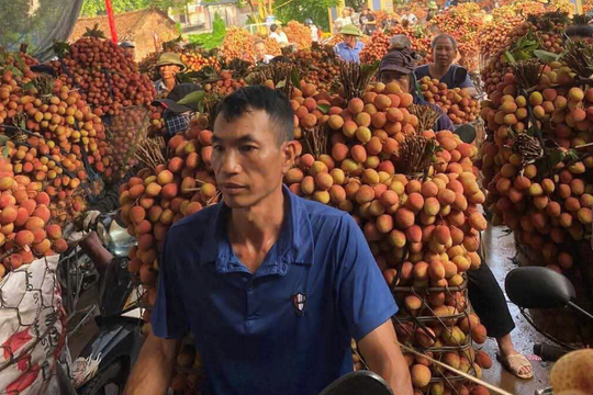 Xuất khẩu nông, lâm, thủy sản đạt gần 40 tỷ USD trong 7 tháng