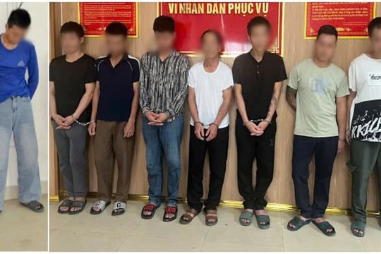 Triệt phá đường dây trộm chó và tài sản có tổ chức