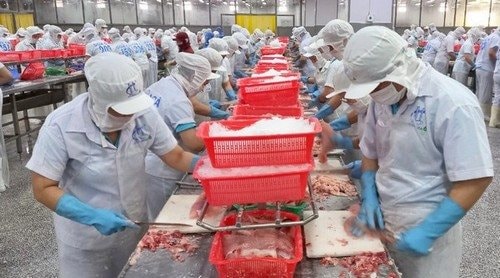 Dự báo xuất khẩu thủy sản Việt Nam có khả năng đạt trên 9 tỷ USD