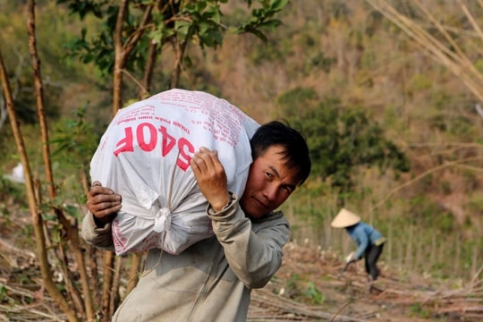 Thanh Hóa quy định không vượt quá 42 phó giám đốc sở