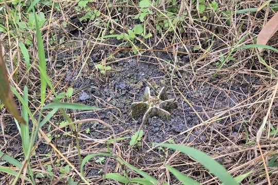 Phát hiện quả đạn cối nằm im nửa thế kỷ trong vườn