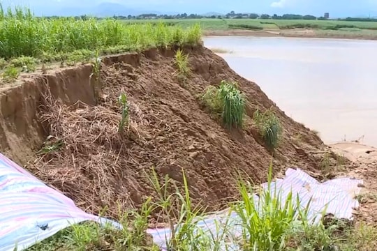 Sạt lở bờ sông Chu khiến người dân lo lắng