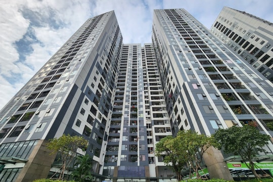 Hơn 55% căn hộ thứ cấp có giá trên 5 tỷ đồng