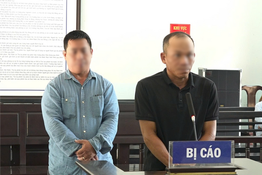 Làm giả hàng loạt giấy phép lái xe, 2 bị cáo hầu tòa