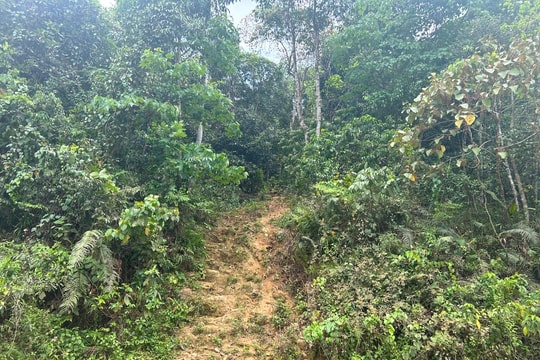 Hiện thực hóa mục tiêu biên cương sạch bóng ma túy