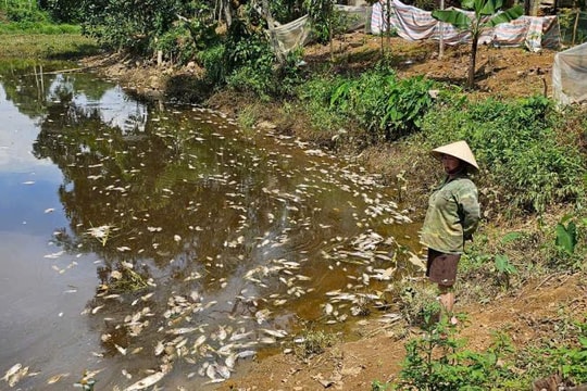 Xử phạt chủ trại lợn gây ô nhiêm môi trường khiến người dân bức xúc