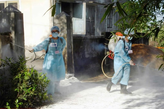 TP Huế: Dịch tả lợn châu Phi xuất hiện tại 43 hộ, hơn 31 tấn lợn bị tiêu hủy