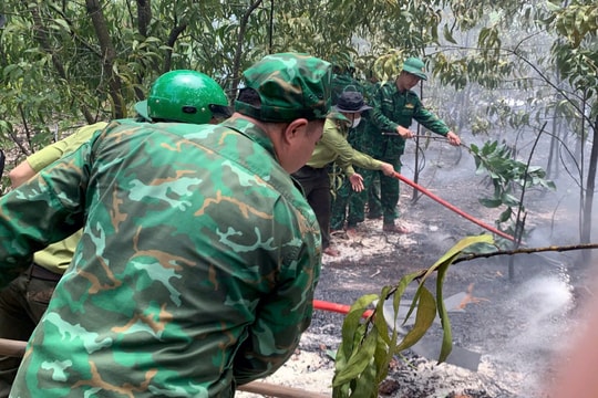 Kịp thời khống chế vụ cháy rừng tại TP Huế