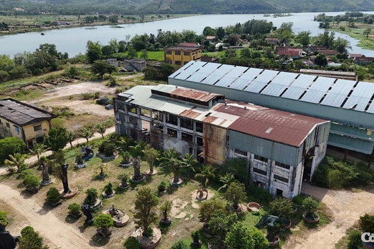 Cận cảnh khu đất 'vàng' ven sông Kôn bị bỏ hoang ở Gia Lai