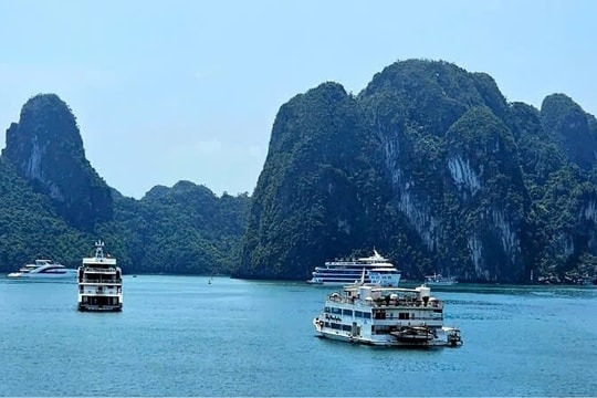 Hoàn thành lắp đặt thiết bị AIS cho tàu du lịch trên Vịnh Hạ Long trước 15/8