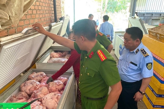 Gia Lai: Chủ tịch xã phải chịu trách nhiệm nếu để Dịch tả lợn châu Phi lây lan