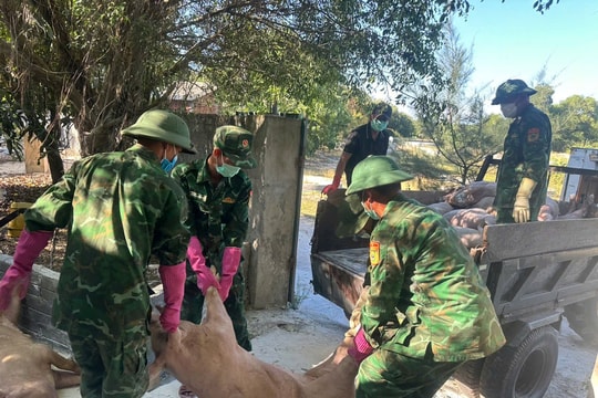 Biên phòng Hải An tích cực hỗ trợ bà con tiêu hủy lợn nhiễm dịch