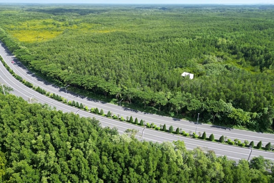 Doanh nghiệp muốn xây cầu Cần Giờ hơn 10.000 tỷ có đề xuất mới